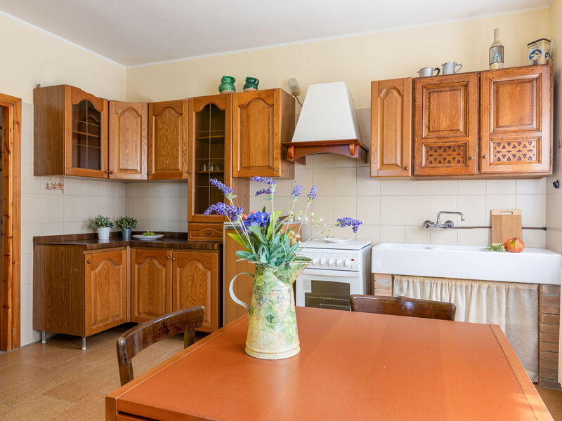 Accommodation:&nbsp;Alfa Apartment