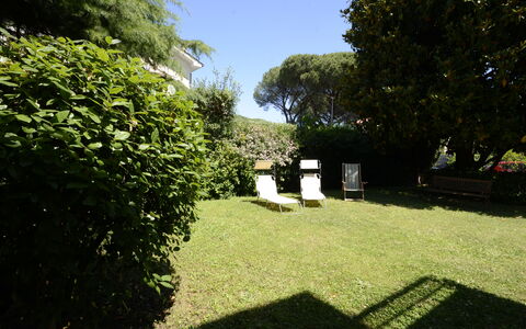 Casa Silvia: Leaf, Shrub, Garden, Lawn, Groundcover, Backyard, Shade, Yard, Landscaping, Hedge