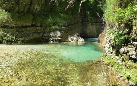 Baita Costa Di Gial: Water Resources, Water, Body Of Water, Nature, Watercourse, Stream, Vegetation, Natural Landscape, Rock