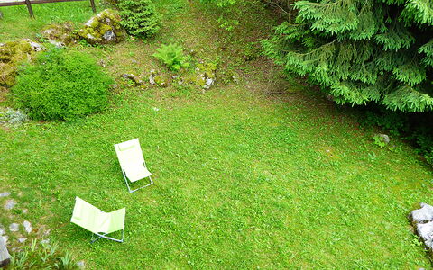 Chalet Giove: Grass, Shrub, Garden, Lawn, Groundcover, Backyard, Yard, Landscaping, Evergreen