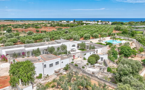 Masseria Lamagrotte: Tree, Residential Area, Landscape, Urban Design, Human Settlement, Bird'S-Eye View, Estate, Suburb, Aerial Photography, Landscaping