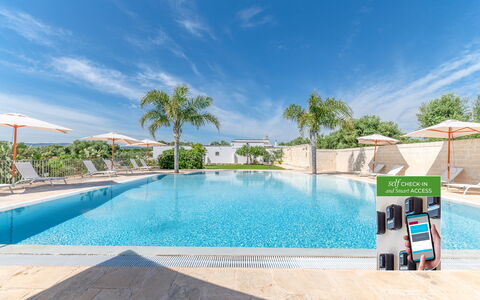 Masseria Lamagrotte: Swimming Pool, Outdoor Furniture, Umbrella, Resort, Leisure, Chair, Eco Hotel, Shade, Sunlounger, Landscaping