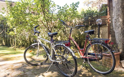 La Casina nel Bosco: Residential Area, Urban Design, Apartment, Landscaping, Estate, Balcony, Villa, Mansion