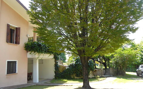 Villa Rosa Apartment: Woody Plant, Shade, Yard, Garden, Lawn, Backyard, Landscaping, Driveway, Evergreen