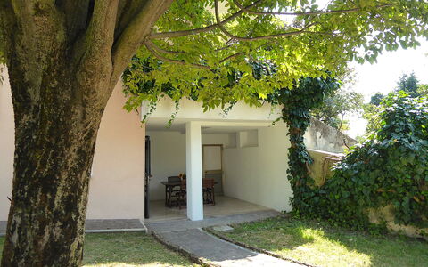 Villa Rosa Apartment: Garden, Shade, Backyard, Lawn, Yard, Landscaping, Courtyard, Daylighting, Hacienda