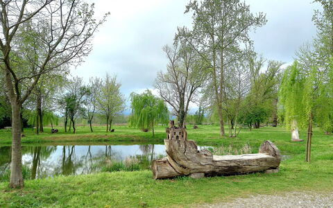 Villa Rosa Apartment: Tree, Grass, Branch, Natural Environment, Nature, Natural Landscape, Plain, Grassland, Trunk