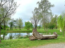 Villa Rosa Apartment