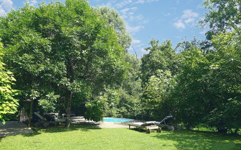 Chalet Fagarè, Pool, Sauna, Prosecco Hills: Tree, Leaf, Branch, Vegetation, Shrub, Garden, Shade, Lawn, Spring, Sunlight