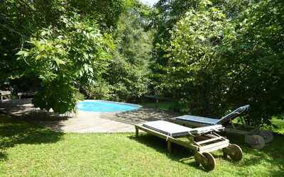Chalet Fagarè: Garden, Shade, Swimming Pool, Outdoor Furniture, Furniture, Lawn, Backyard, Leisure, Landscaping, Chair