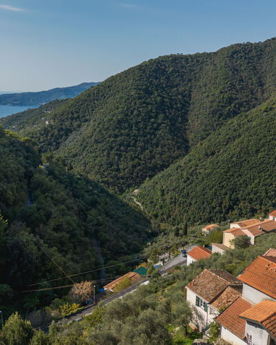 Manuela: Mountainous Landforms, Mountain, Nature, Leaf, Hill, Vegetation, Natural Landscape, Highland, Landscape, Hill Station