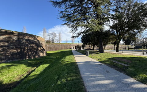 Casa Capolino: Grass, Tree, Lawn, Walkway, Sidewalk, Landscaping, Garden, Park, Driveway, Shadow