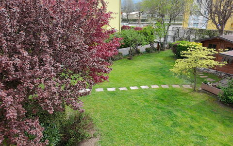 House Martina: Shrub, Garden, Groundcover, Lawn, Spring, Backyard, Yard, Landscaping, Park
