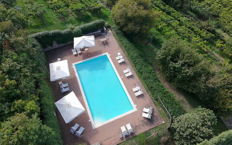 Calicantus, Verona, Pool, Wifi: Swimming Pool, Resort, Eco Hotel, Outdoor Furniture, Garden, Hotel, Landscaping, Villa, Hacienda, Plantation