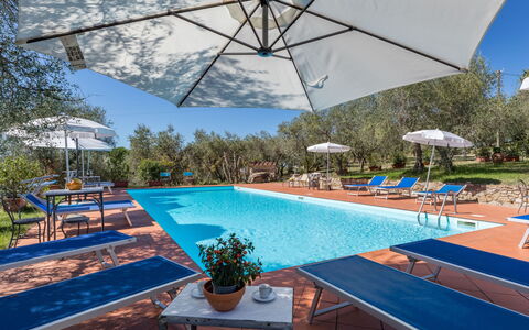 Accommodation:&nbsp;La Foresta 625.4