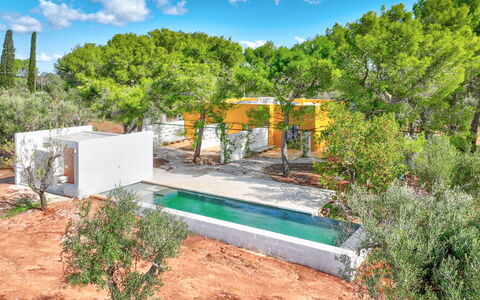 Villa Manè: Garden, Landscaping, Backyard