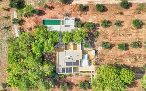 Villa Manè: Tree, Estate, Plantation, Aerial Photography, Bird'S-Eye View