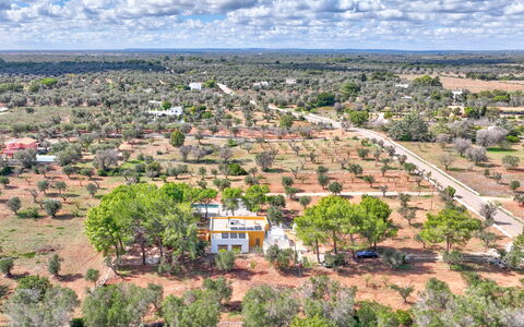 Villa Manè: Daytime, Tree, Landscape, Land Lot, Plain, Rural Area, Bird'S-Eye View, Field, Aerial Photography, Plantation