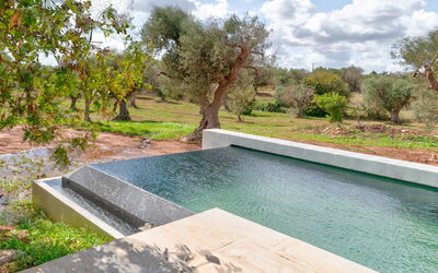Villa Manè: Composite Material, Garden, Swimming Pool, Water Feature, Landscaping, Backyard, Natural Material, Design