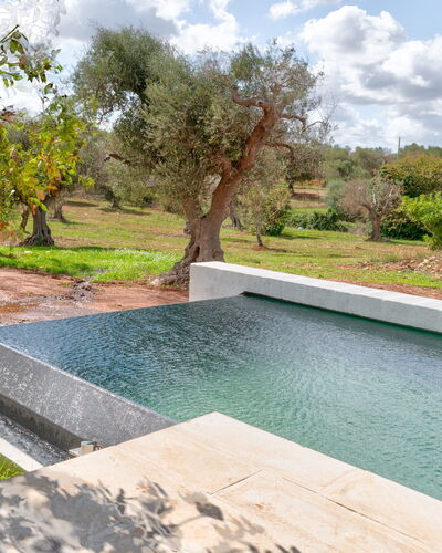 Villa Manè: Composite Material, Garden, Swimming Pool, Water Feature, Landscaping, Backyard, Natural Material, Design