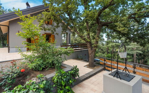 Casa Gibel: Wood, Home, Cottage, Garden, Shade, Estate, Stairs, Design, Yard, Hardwood