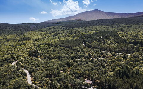 Casa Gibel: Mountainous Landforms, Natural Environment, Mountain, Vegetation, Hill, Highland, Natural Landscape, Ecoregion, Landscape, Forest