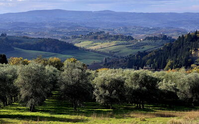 La Novellina – Historic Villa with Pool on an Orga