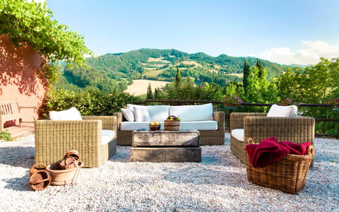Torre Fantini: Furniture, Outdoor Furniture, Wicker, Chair, Flowerpot, Couch, Garden, Shade, Cushion