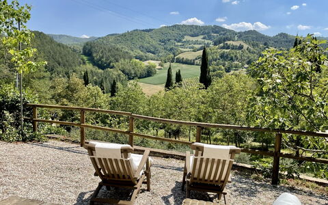 Torre Fantini: Tree, Landscape, Furniture, Outdoor Furniture, Forest, Spring, Outdoor Table, Shade, Hill Station, Hardwood