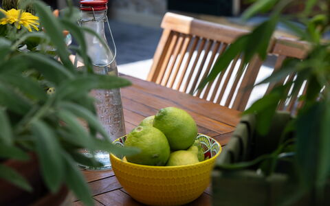 Podere la Botte, Pool, Lari: Flowerpot, Tableware, Ingredient, Fruit, Produce, Houseplant, Food