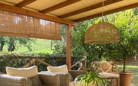 Podere la Botte, Pool, Lari: Wood, Wicker, Furniture, Outdoor Furniture, Shade, Flowerpot, Ceiling, Natural Material, Wood Stain, Garden