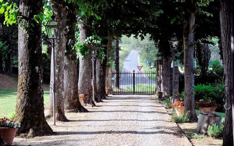 Villa Medicea Lo Sprocco: Shrub, Walkway, Garden, Trunk, Driveway, Trail, Sidewalk, Shade, Landscaping, Flagstone