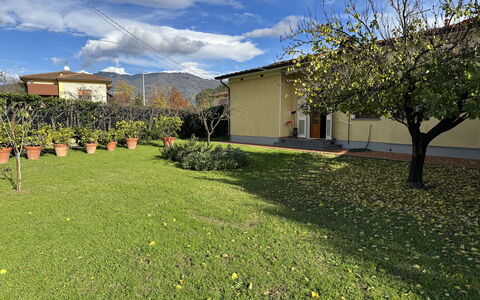 Villa Lory: Grass, Green, Land Lot, Lawn, Garden, Groundcover, Spring, Shade, Yard