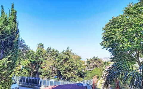 Happy House: Blue, Tree, Fence, Evergreen