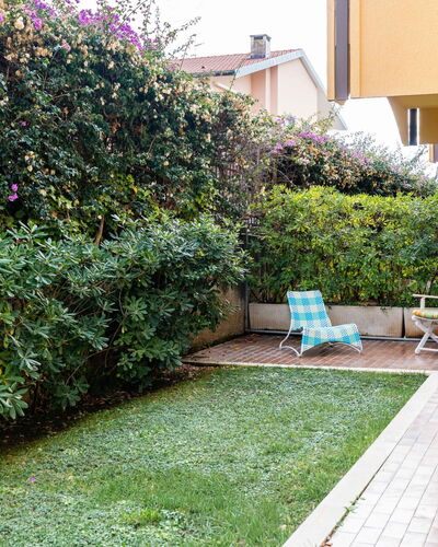 Dream House: Shrub, Garden, Groundcover, Hedge, Shade, Landscaping, Yard, Backyard, Lawn, Courtyard
