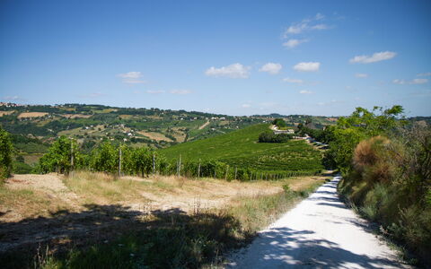 Zena Apartment: Green, Vegetation, Natural Landscape, Grassland, Landscape, Hill, Rural Area, Shrub, Plain