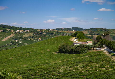 Zena Apartment: Green, Agriculture, Field, Plantation, Rural Area, Plain, Grassland, Landscape, Land Lot