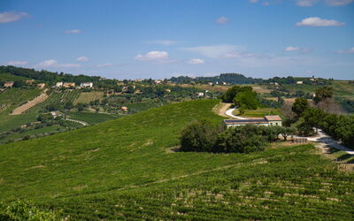 Zena Apartment: Green, Agriculture, Field, Plantation, Rural Area, Plain, Grassland, Landscape, Land Lot