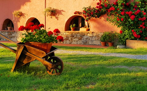 Suite Orchidea Seaside and Pool: Garden, Landscaping, Yard, Flowerpot, Backyard, Hacienda, Houseplant