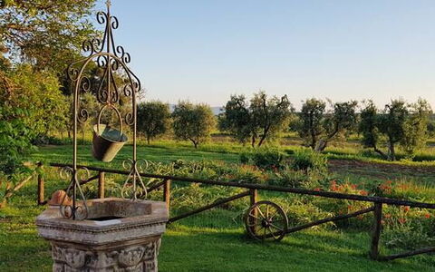 Suite Orchidea Seaside and Pool: Plain, Garden, Park, Lawn, Yard, Landscaping, Plantation, Botanical Garden, Farm, Backyard