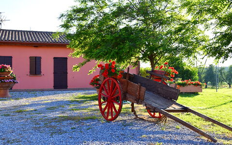 Appartamento Girasole Seaside and Pool: Garden, Landscaping, Yard, Driveway, Flowerpot, Hacienda