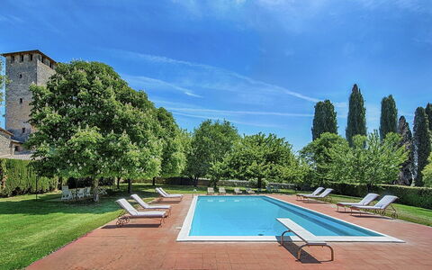 Medieval Castle Living: Vineyards, Swimming Pool &: Shrub, Garden, Estate, Hedge, Landscaping, Lawn, Hacienda, Villa, Yard, Mansion