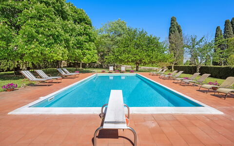 Medieval Castle Living: Vineyards, Swimming Pool &: Shrub, Garden, Swimming Pool, Estate, Hacienda, Shade, Landscaping, Lawn, Villa, Resort