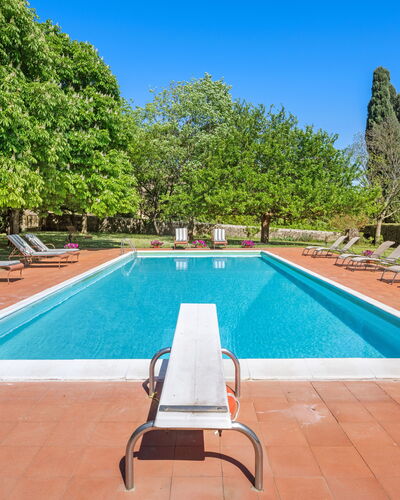 Medieval Castle Living: Vineyards, Swimming Pool &