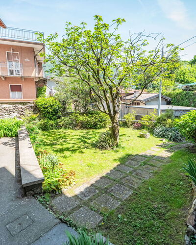 Iside: Shrub, Garden, Groundcover, Yard, Backyard, Landscaping, Lawn, Courtyard, Walkway, Hacienda
