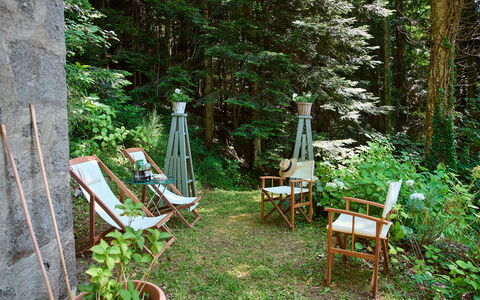 Il Gallinaio, Vivo D'Orcia: Wood, Vegetation, Furniture, Plant Community, Outdoor Furniture, Trunk, Garden, Groundcover, Spring, Chair