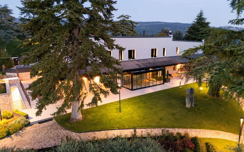 Villa Bocchi: Tree, Shade, Lawn, Garden, Estate, Yard, Landscaping, Walkway, Park