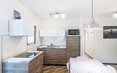 Accommodation:&nbsp;Stella Alpina 205.2