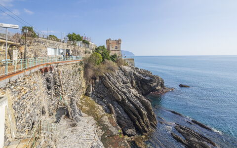 Focaincontromano Seaview, Genova: Body Of Water, Coast, Sea, Coastal And Oceanic Landforms, Summer, Ocean, Terrain, Headland, Shore, Promontory