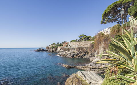 Focaincontromano Seaview, Genova: Blue, Water, Body Of Water, Coast, Coastal And Oceanic Landforms, Sea, Rock, Horizon, Summer, Headland