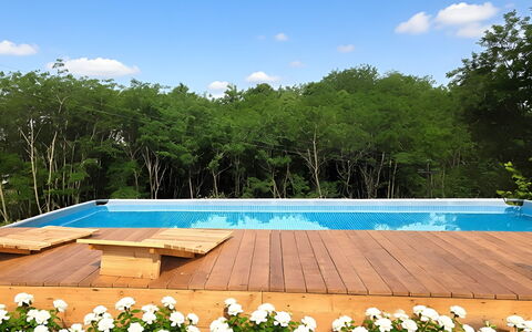 Villa Dolce Bosco with Pool, Valdobbiadene: Wood, Swimming Pool, Shade, Garden, Eco Hotel, Hardwood, Leisure, Landscaping, Wood Stain, Deck